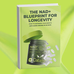 NAD+ Blueprint for Longevity