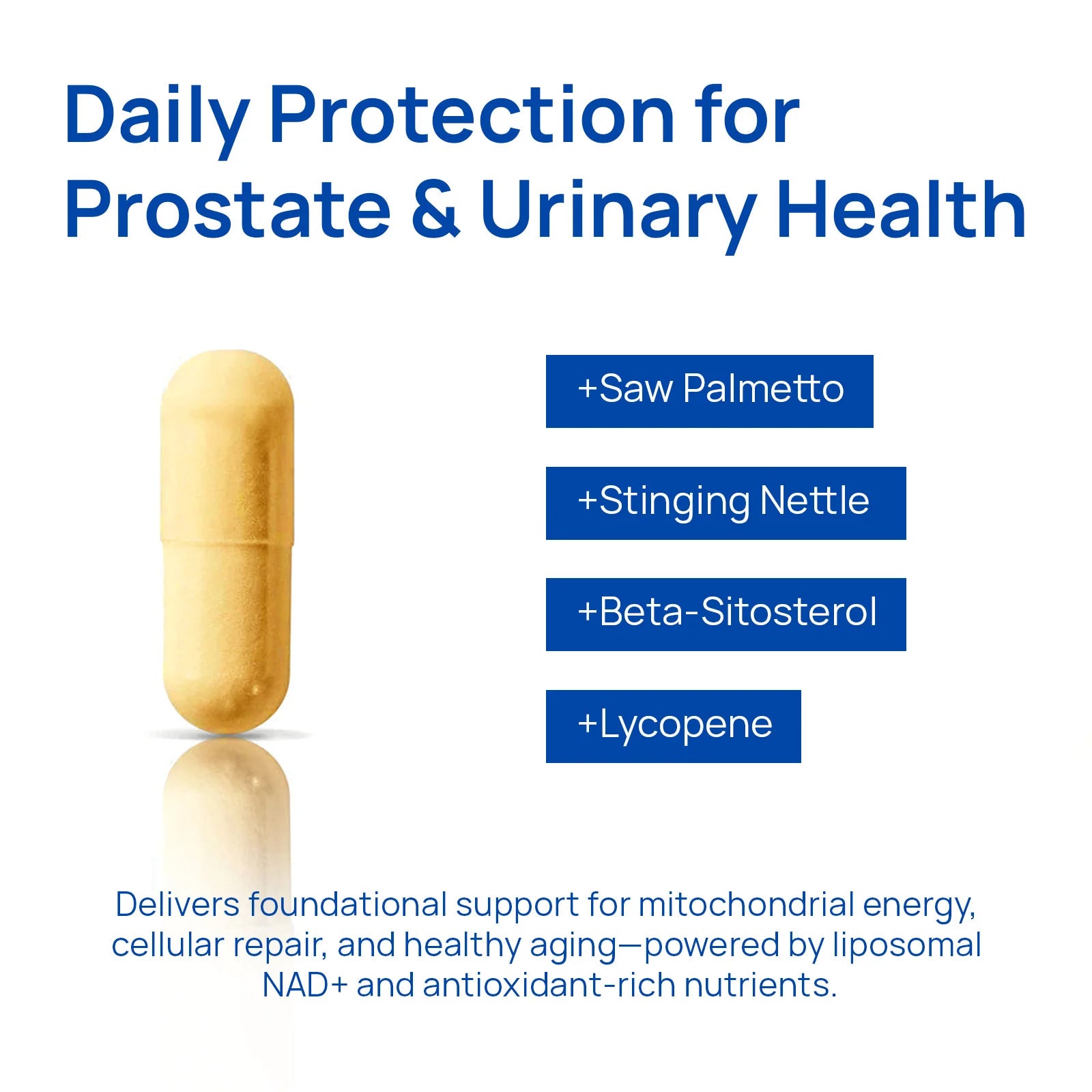 Selerb NAD+ Supplement for Men - 60 Capsules